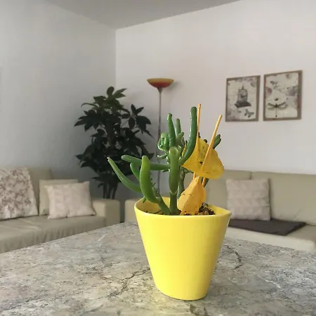 Appartement-kopp 公寓