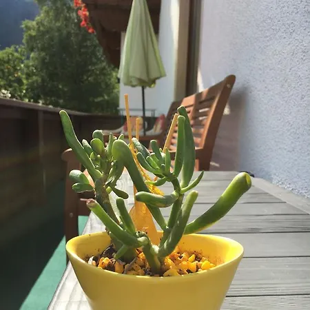Apartmán Appartement-kopp *